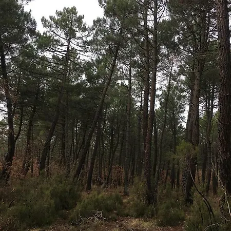 Casa-apartamento Madera Y Sol