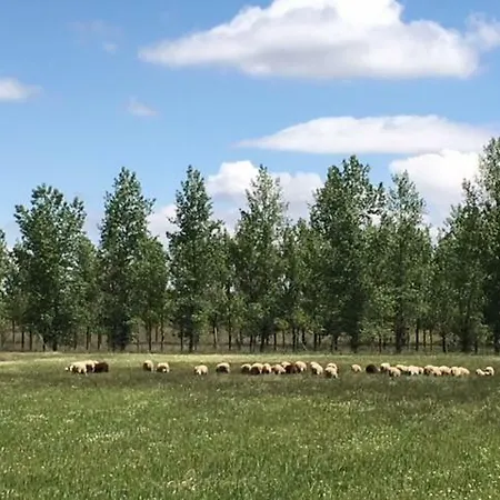 Casa-apartamento Madera Y Sol Country house *