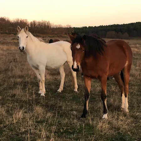 Casa-apartamento Madera Y Sol