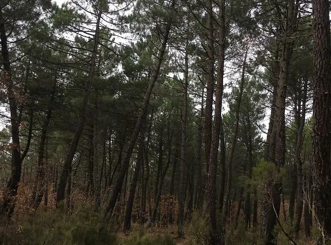 Casa-apartamento Madera Y Sol