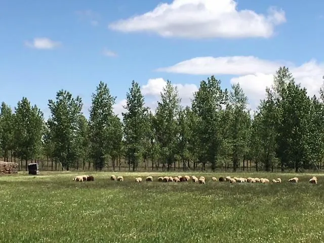 Casa-apartamento Madera Y Sol 컨트리하우스 *