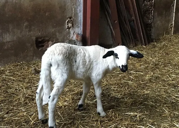 Casa-apartamento Madera Y Sol