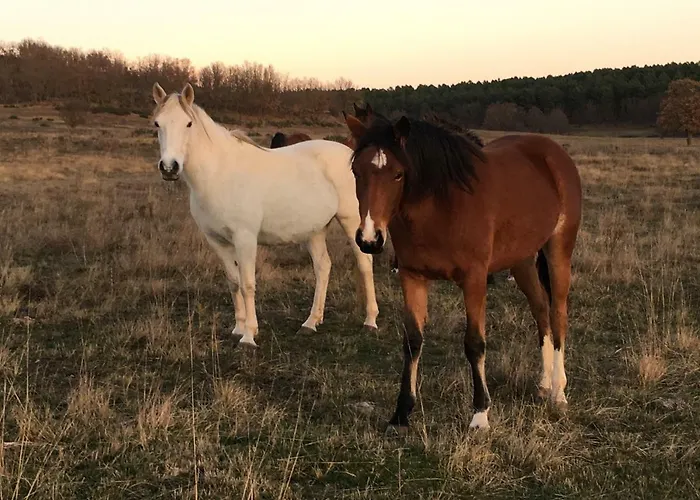 Casa-apartamento Madera Y Sol